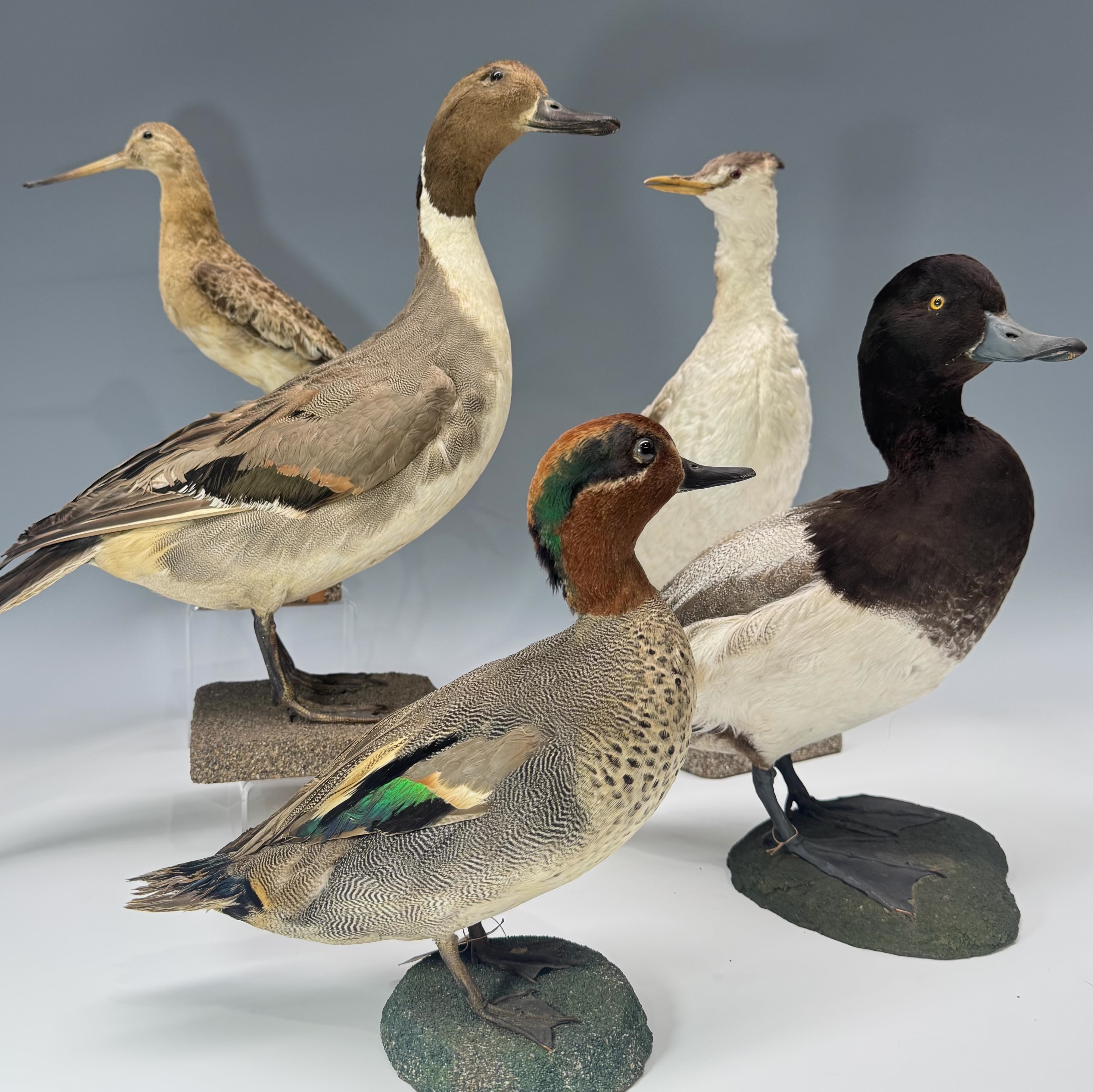 Cotswold Interiors & Collectables