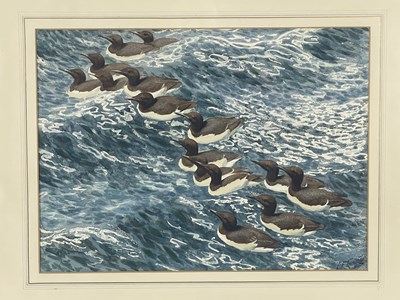Lot 360 - Charles Frederick Tunnicliffe R.A. (British,...