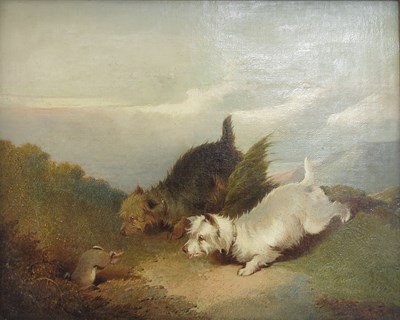 Lot 448 - C..Jones (British, 1836-1895), Terriers...