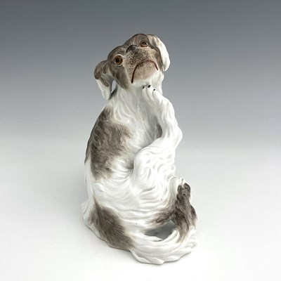 Lot 594 - A Meissen figure of a Bolognese dog, model...