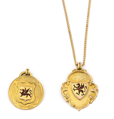 Lot 3 - Two 9ct gold enamel medallions, one with chain