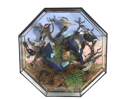 Lot 158 - Taxidermy: a 19th century display of exotic...