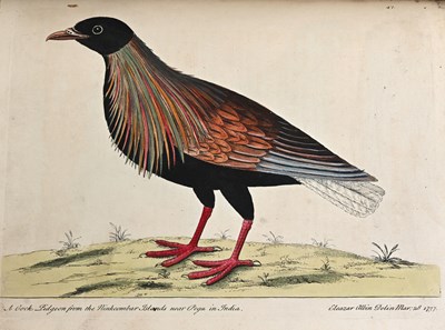 Lot 250 - Albin, Eleazar, A Natural History of Birds,...