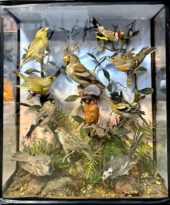 Lot 834 - Taxidermy: A late Victorian diorama of British...