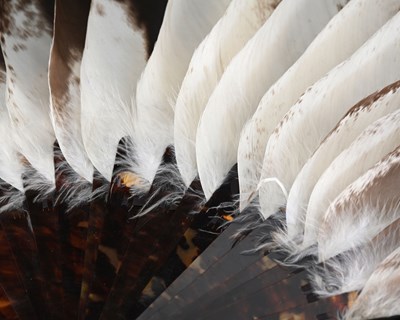 Lot 206 - A large 19th century tortoiseshell and feather...