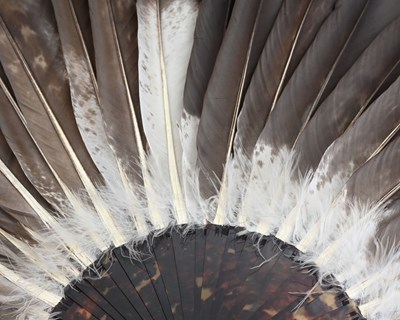 Lot 206 - A large 19th century tortoiseshell and feather...