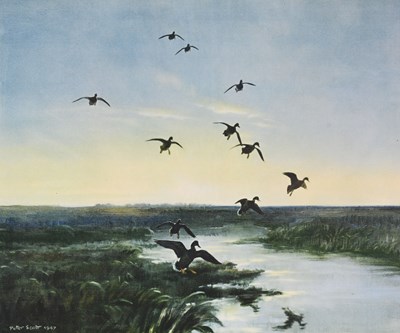 Lot 267 - Peter Scott (British, 1909-1989), Mallards...