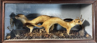 Lot 838 - Taxidermy: a pair of late 19th/early...