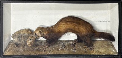 Lot 837 - Taxidermy: A late 19th/early 20th century...