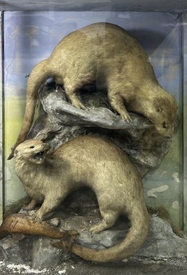 Lot 846 - Taxidermy: a large late 19th/early 20th...