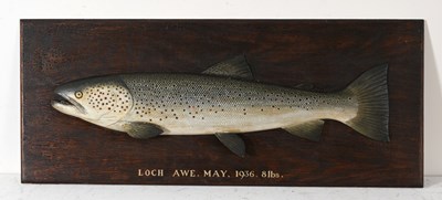 Lot 329 - A carved wooden trophy of a Trout, in the...