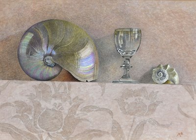 Lot 520 - Sue Read (British, 20th/21st Century), Shells...