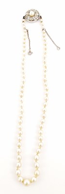 Lot 309 - A graduated cultured pearl single-strand necklace, with white metal clasp