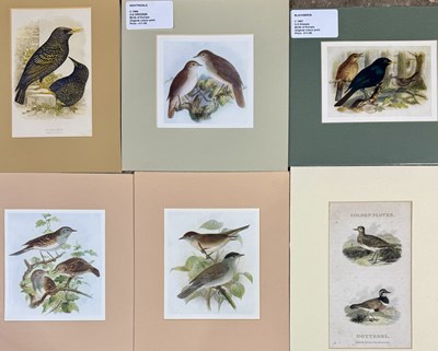 Lot 500 - A collection of early 19th - c.1900 colour...