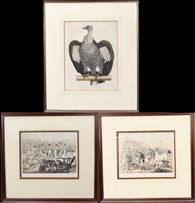 Lot 526 - Satirical lithographic plates depicting...