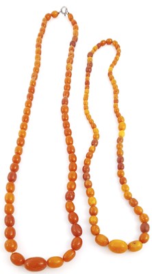 Lot 314 - Two natural amber graduated bead necklaces