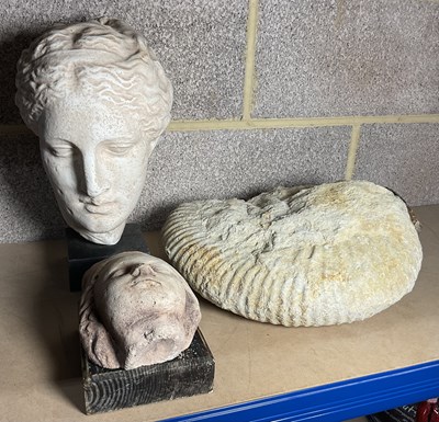 Lot 99 - A plaster Head of Hygeia mounted on a marble...