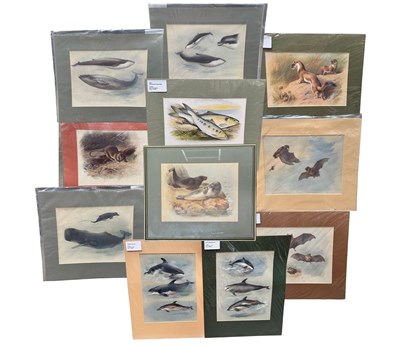 Lot 289 - Archibald Thorburn (British, 1860-1935), a...