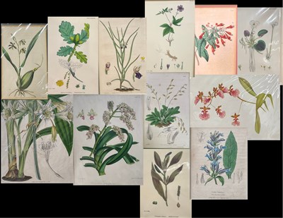 Lot 296 - A collection of early-mid 19th century and...