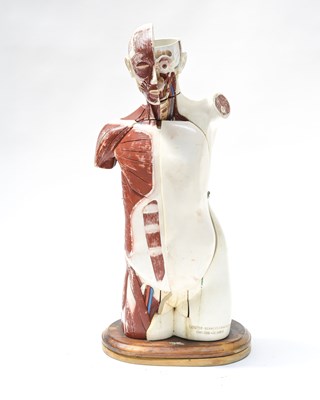 Lot 175 - Scientific or Medical Interest, an American...