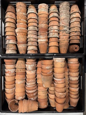 Lot 21 - A quantity of terracotta pots, average heights...