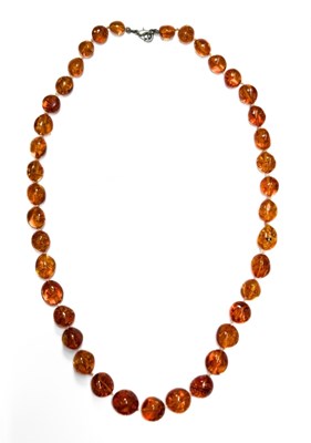 Lot 491 - A graduated amber bead necklace