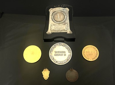 Lot 389 - International golfing medals, a yellow metal...