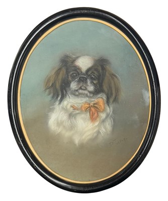Lot 300 - D. Tucker, a portrait of a Spaniel, signed l.r....