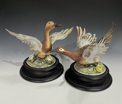 Lot 161 - A pair of Capodimonte male and female ducks in...