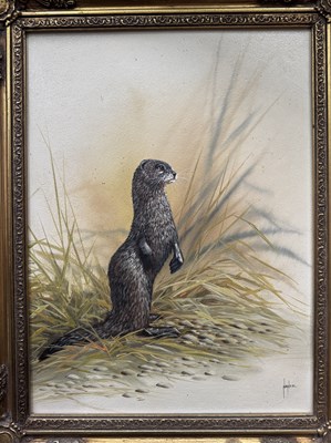 Lot 324 - Oil/acrylic, otter