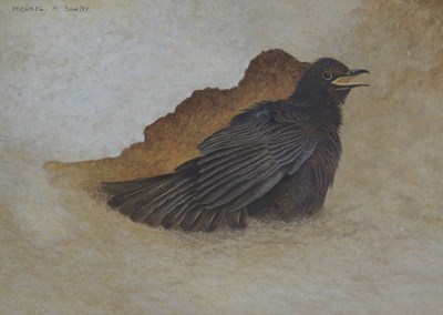 Lot 311 - Michael B. Sawdy (British, 20th Century),...