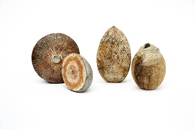 Lot 434 - Alan Wallwork (1931-2019) Fossil form,...
