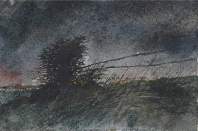 Lot 344 - Len Tabner (British, 1946), Hawthorn, signed l....