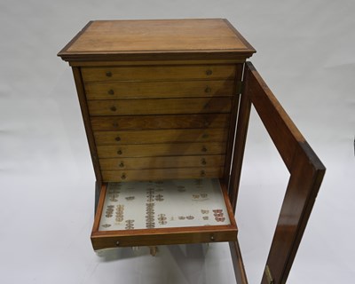 Lot 218 - A late 19th century satin birch lepidopterists...