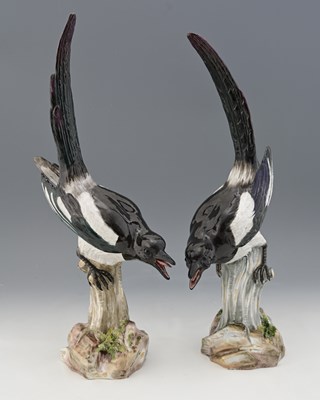 Lot 518 - A large pair of Meissen figures of magpies,...