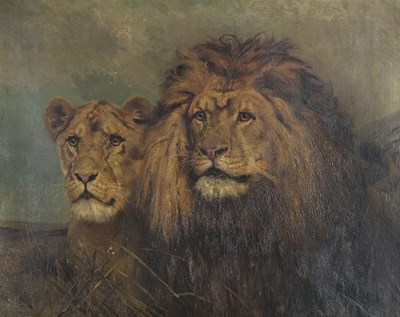 Lot 280 - Circle of Geza Vastagh, Lion and Lioness, oil...