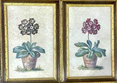Lot 734 - A pair of gilt-framed botanical watercolours...