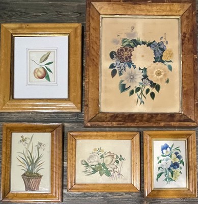 Lot 738 - British School, five 19th century botanical...