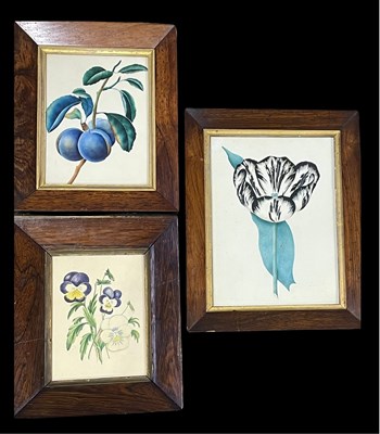 Lot 737 - British School, three 19th century botanical...