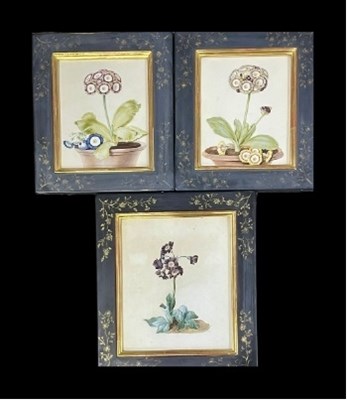 Lot 739 - British School, three botanical watercolour...
