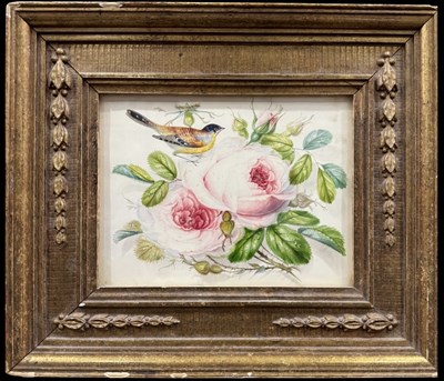 Lot 735 - British School, still life study, exotic bird...