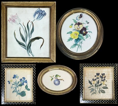 Lot 741 - British School, five 19th century botanical...