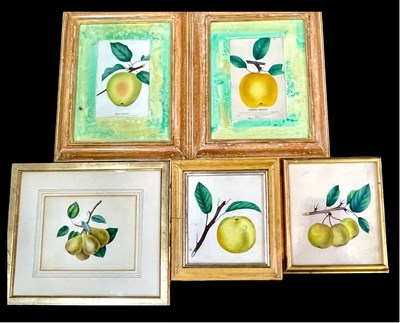 Lot 731 - British School, three 19th century fruit...