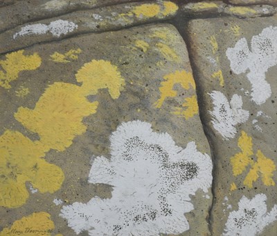 Lot 59 - Mary Dearing Lichen, 1985 watercolour on paper,...