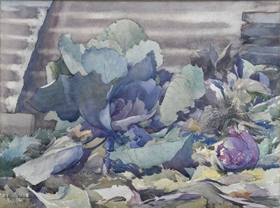 Lot 60 - Sydney Merrils Cabbages in the garden,...