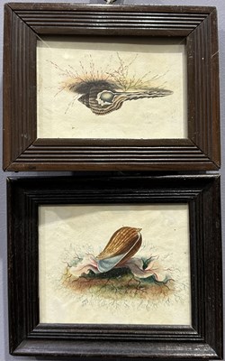 Lot 497 - English school, two 19th century still life...