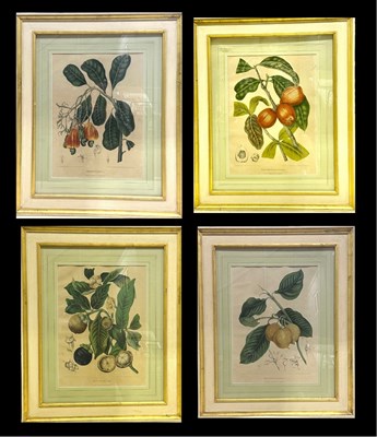 Lot 500 - Four 19th century hand-finished lithographic...