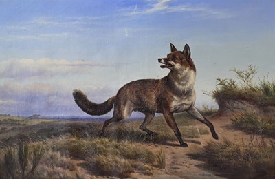 Lot 339 - Charles Jones (British, 1836-1892), Disturbed:...