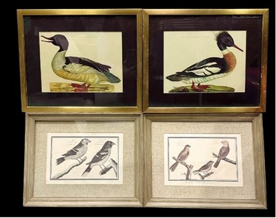 Lot 477 - Two reproduction prints of birds from a French...