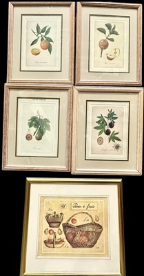 Lot 510 - A set of four mounted and framed...